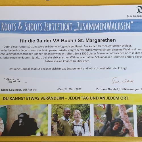 Roots & Shoots Zertifikat "Zusammenwachsen" anlässlich des internationalen Tag des Waldes